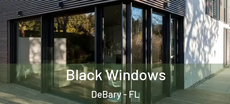  Black Windows DeBary - FL