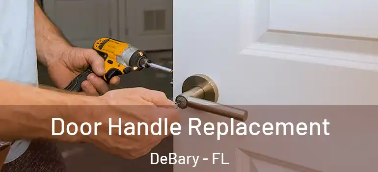  Door Handle Replacement DeBary - FL