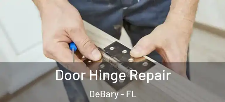 Door Hinge Repair DeBary - FL