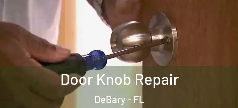  Door Knob Repair DeBary - FL