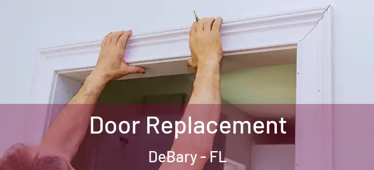  Door Replacement DeBary - FL