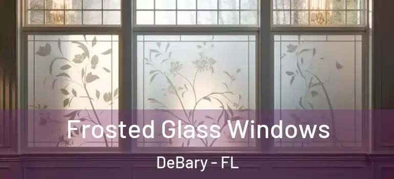  Frosted Glass Windows DeBary - FL