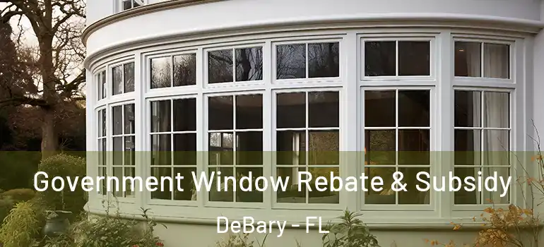  Government Window Rebate & Subsidy DeBary - FL