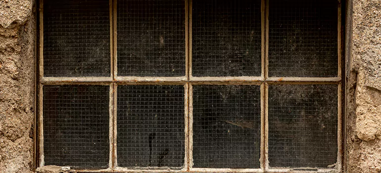 Traditional Double Front Doors in DeBary, FL