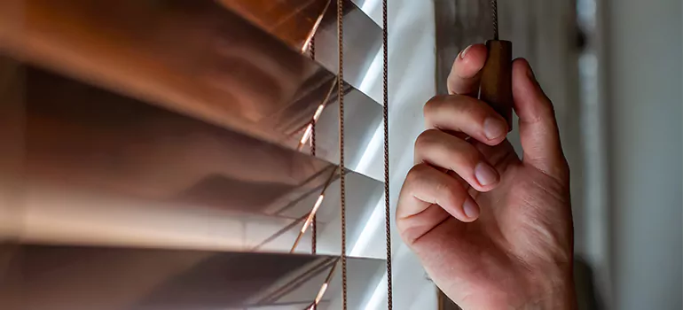 Double Roller Blinds in DeBary, FL