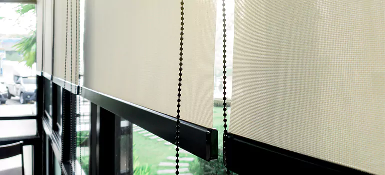 Blackout Window Shades in DeBary, FL