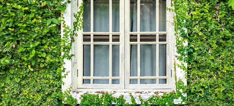 Garden Window Repair Near Me in DeBary, FL
