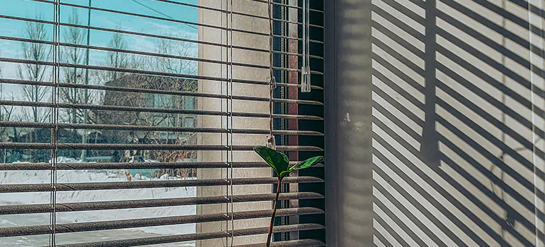 Commercial Window Blinds in DeBary, FL