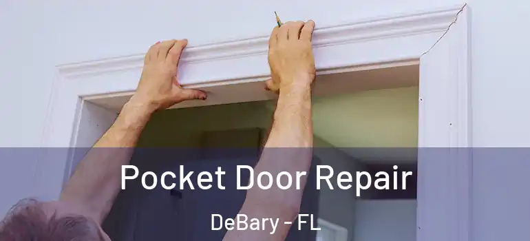  Pocket Door Repair DeBary - FL