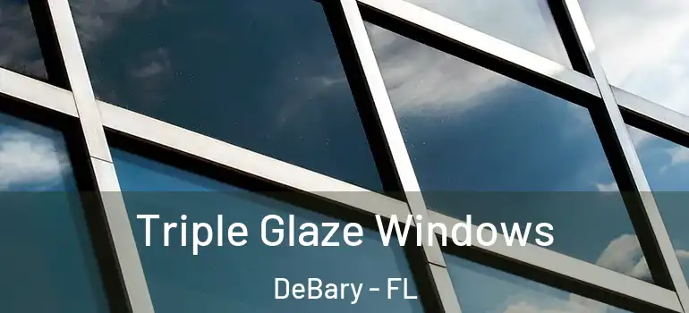  Triple Glaze Windows DeBary - FL