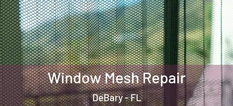  Window Mesh Repair DeBary - FL