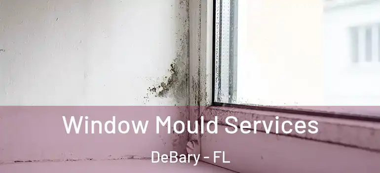  Window Mould Services DeBary - FL