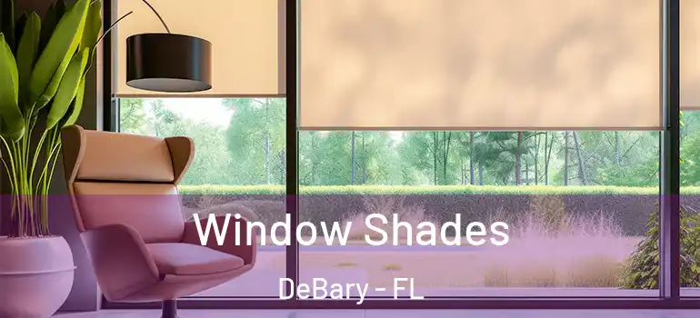 Window Shades DeBary - FL